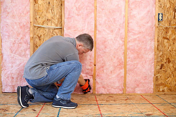 Best Geographic-Specific Insulation Services in Newton, IL