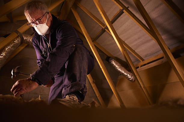 Trusted Newton, IL Insulation Contractor Experts